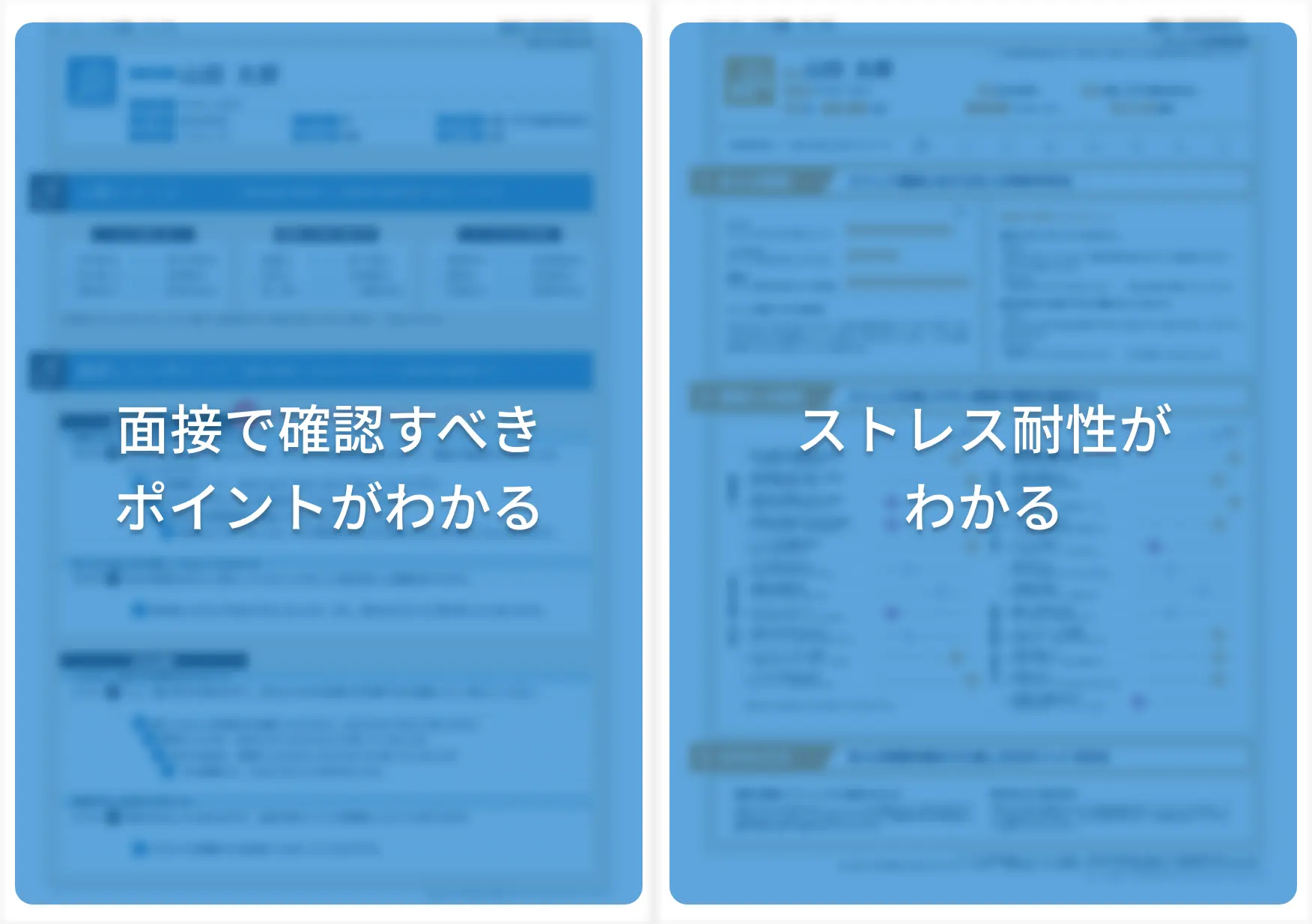 報告書イメージ②